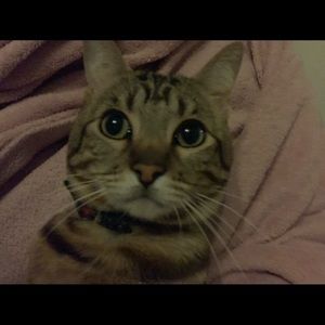 Meet your Posher, Brandy